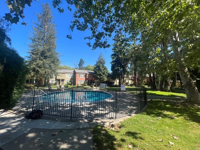 Building Photo - Stunning Remodeled Treat Boulevard unit! A must see 1-bedroom unit with private parking and pool!