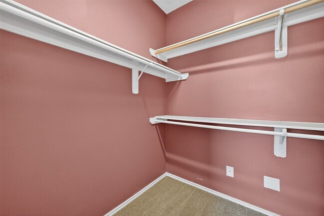 Building Photo - 3123 Sun Terrace Ln