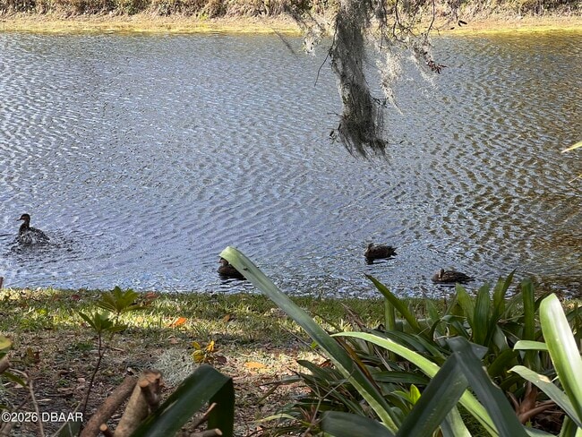 Building Photo - 4518 Alder Dr