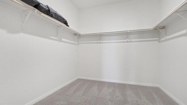 Building Photo - 17808 Altesino Cv