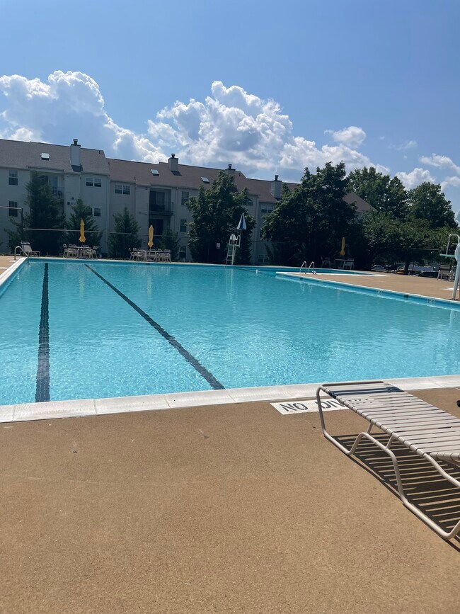 Community Pool - 108 Prosperity Ave SE