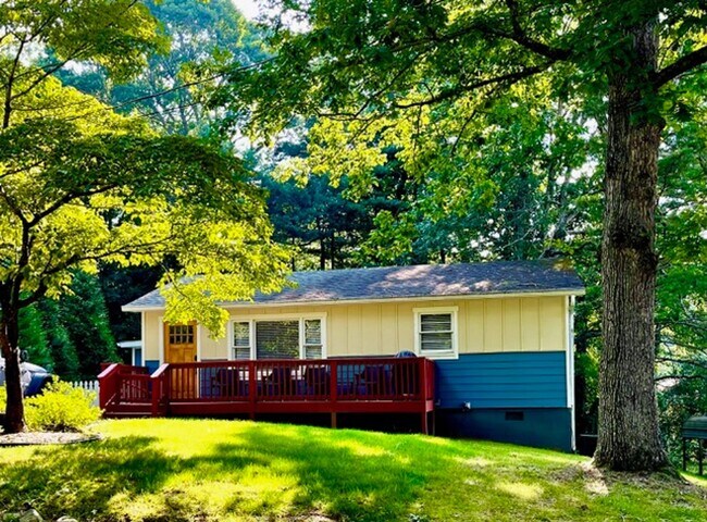 Building Photo - Black Mountain Gem Near Lake Tomahawk!