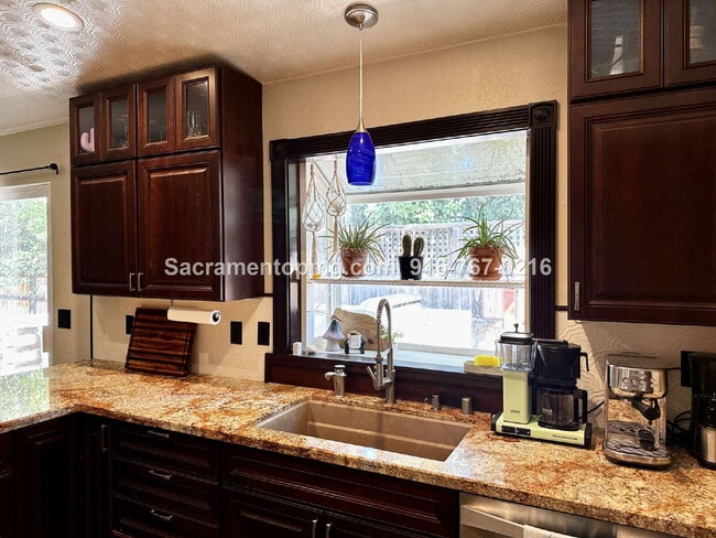 Building Photo - 1283 Live Oak Ln
