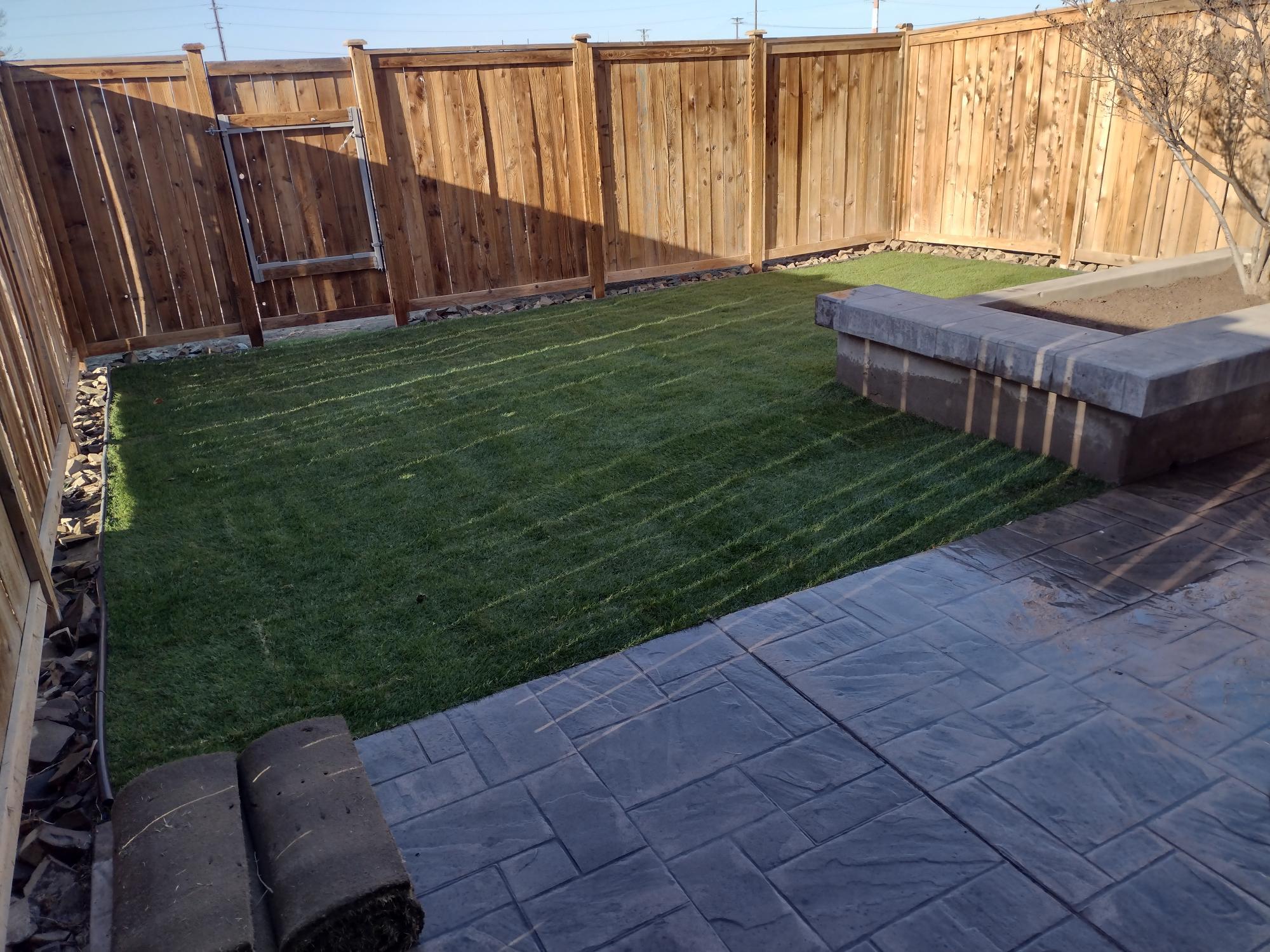 Backyard - 1223 2nd Ave NE