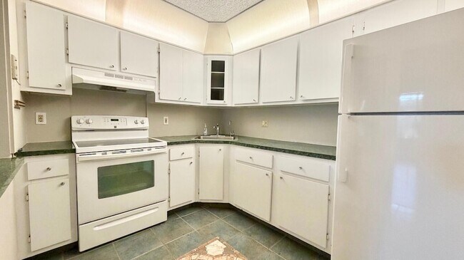 Building Photo - 4717 Sable Pine Cir