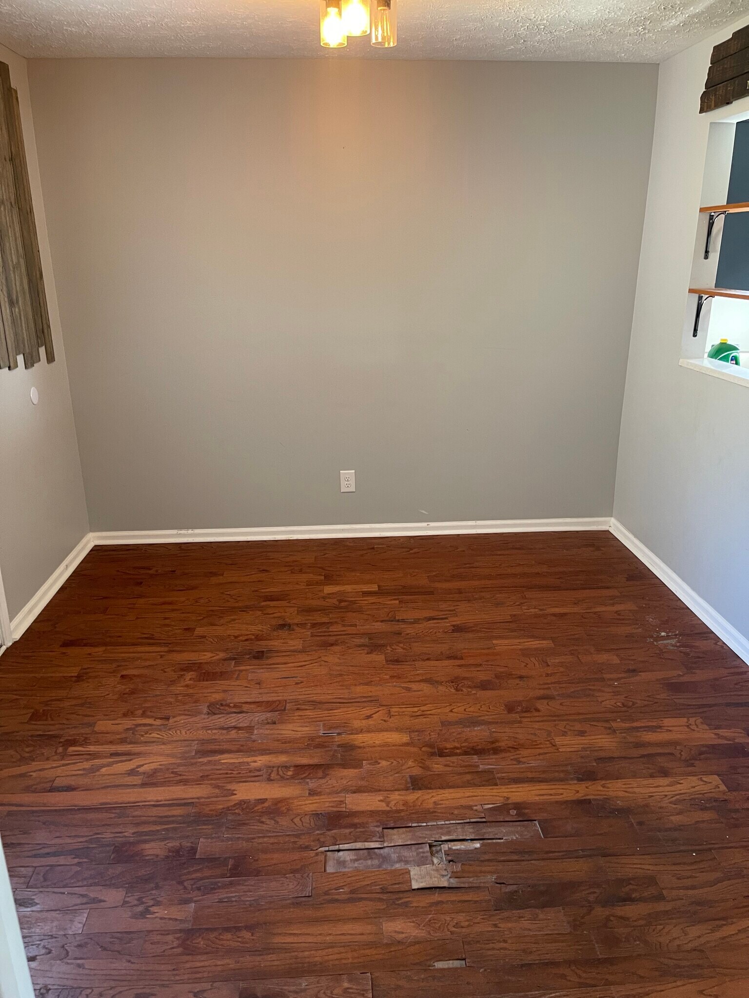 Building Photo - 1513 Luton St