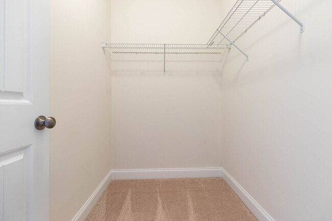 Building Photo - 782 Whitetail Dr