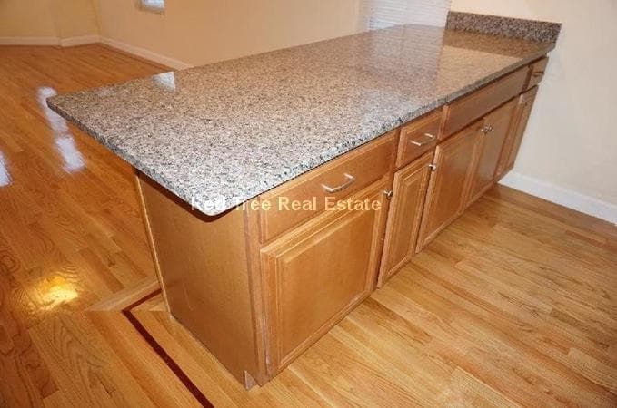 Building Photo - 233 Boylston St