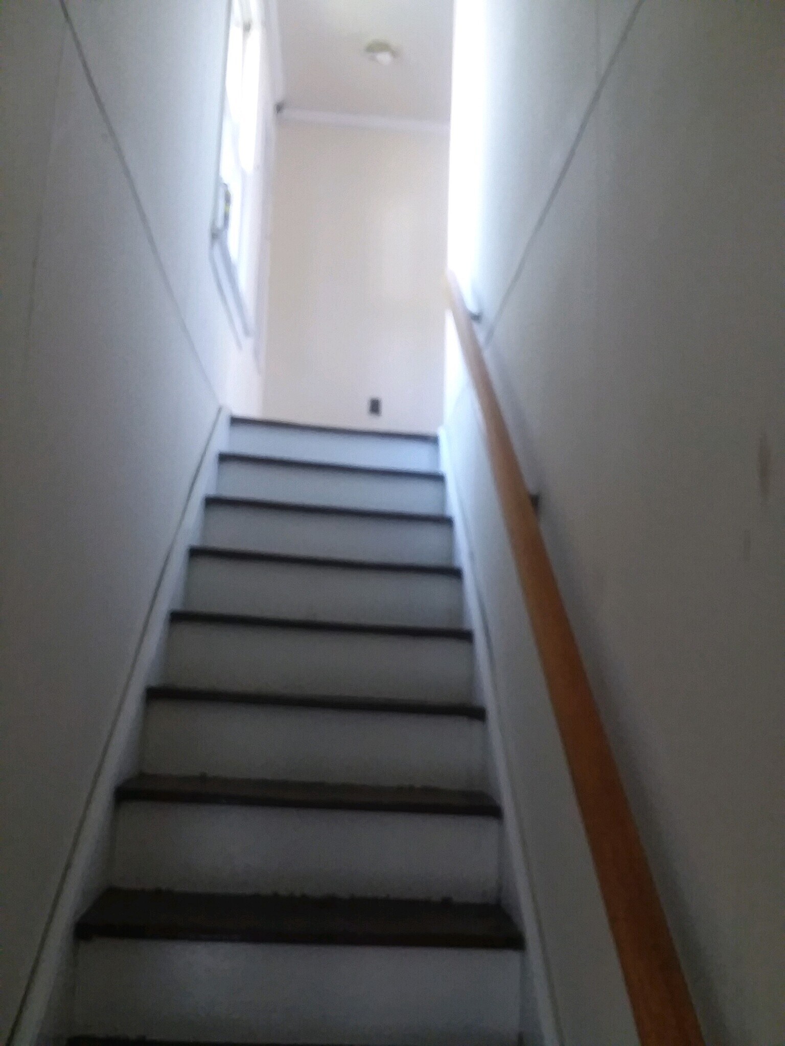 Building Photo - 815 Beech St