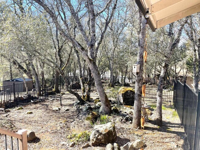 Building Photo - 3 bedroom, 2 bath home in Lake Wildwood, P...