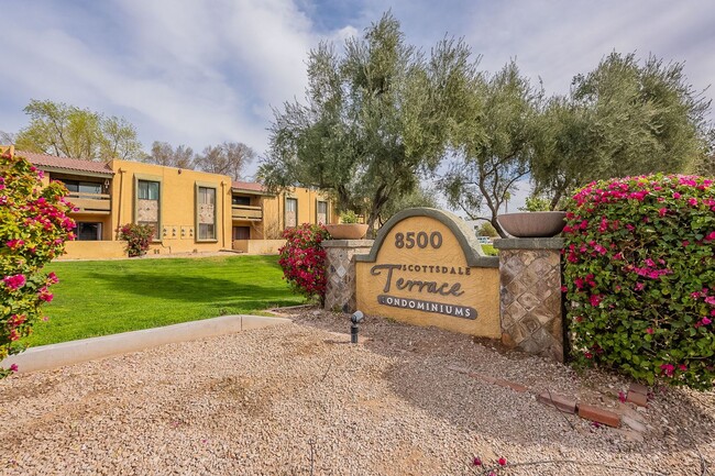 Building Photo - Charming Old Town Scottsdale Condo with Re...