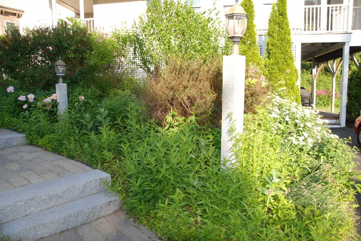 Building Photo - 285 East Side