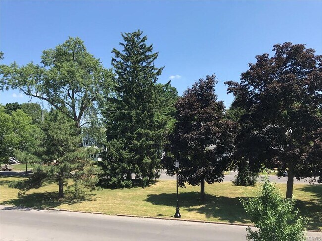 Building Photo - 126 Shotwell Park