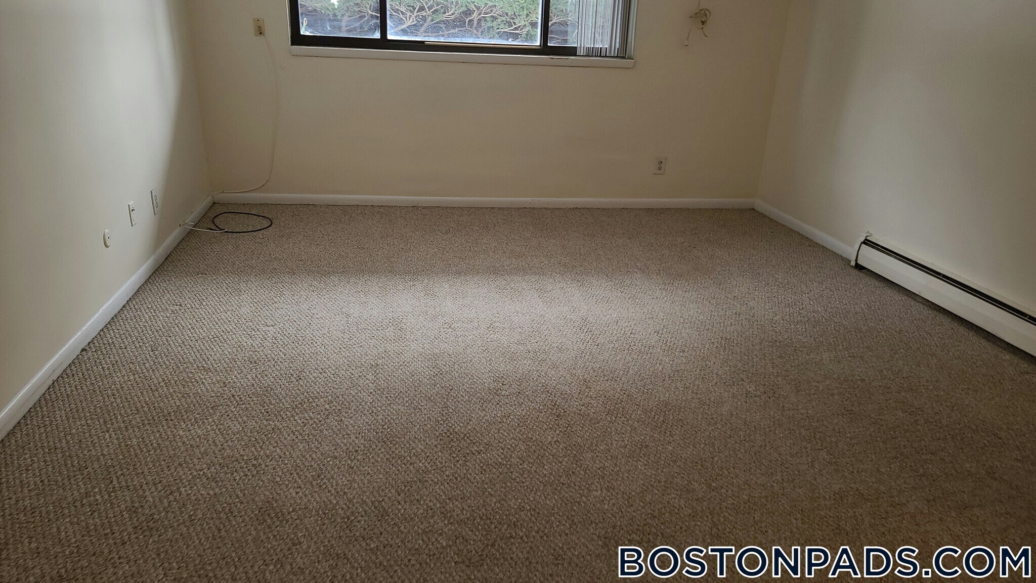 Building Photo - 16 Whites Ave