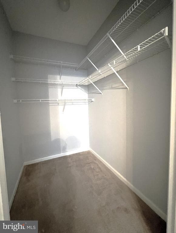 Building Photo - 12919 Alton Square