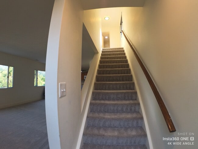 Stairs - 3137 Josephine St