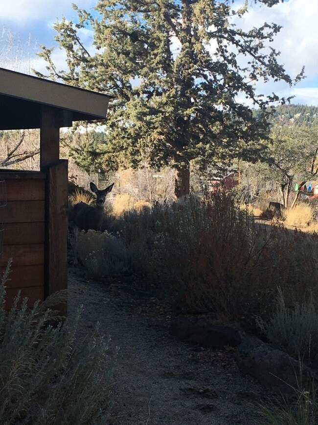 Building Photo - Live Sustainably with Mountain Views at De...