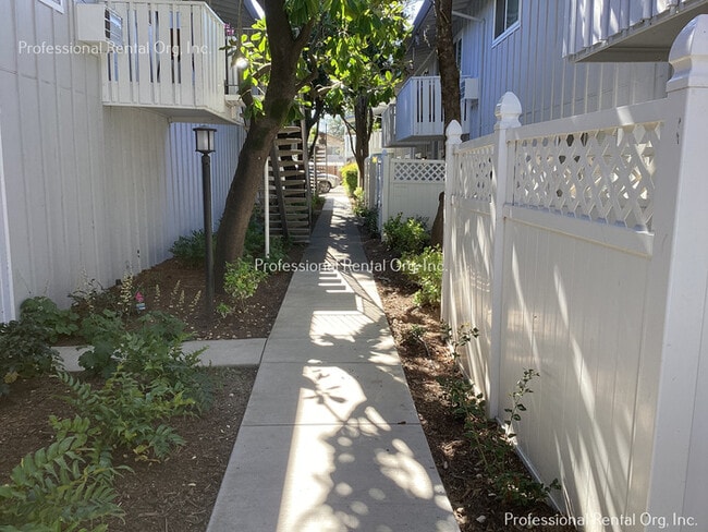 Building Photo - Downtown Newly remodeled 1 bedroom