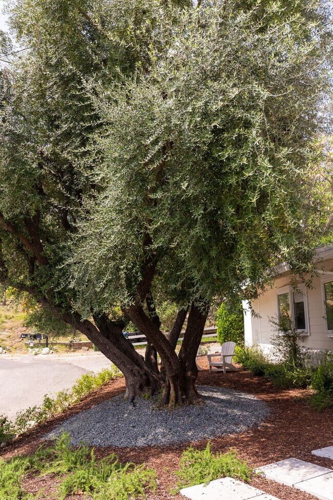 Building Photo - Beautiful Tarzana Rental!