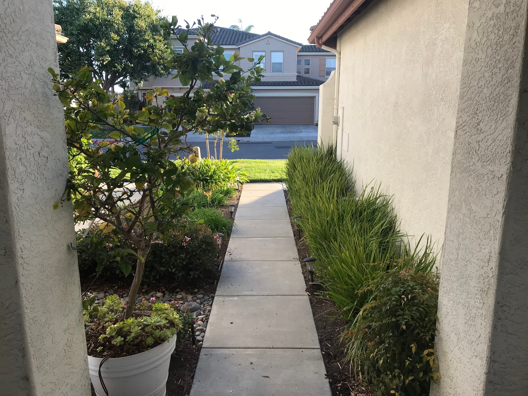 front walkway - 1736 Bluebird Ln