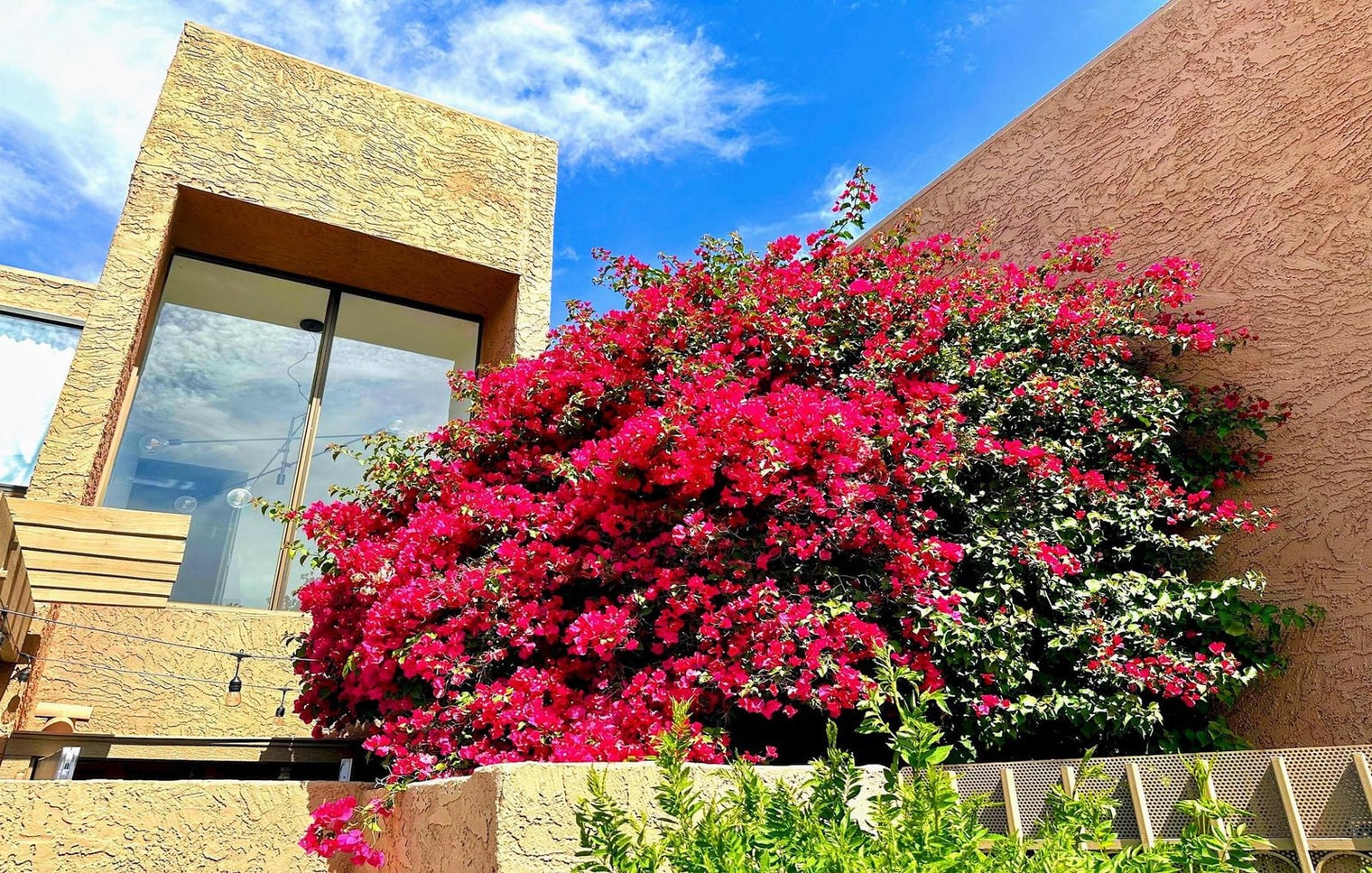 Building Photo - 7401 N Scottsdale Rd
