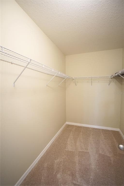 Building Photo - 13107 Canopy Creek Dr