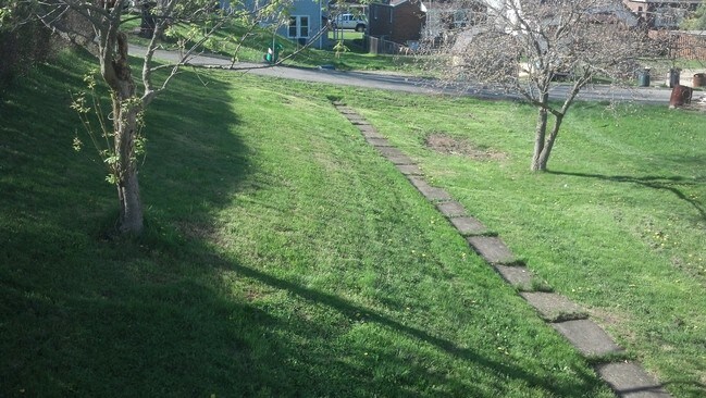Back yard - 171 Alexander Ave
