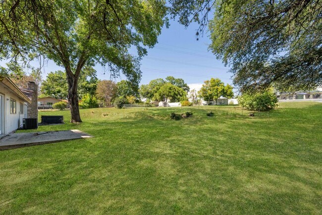 Building Photo - Spacious 4-Bedroom Retreat with Fireplace & Island Kitchen in New Braunfels