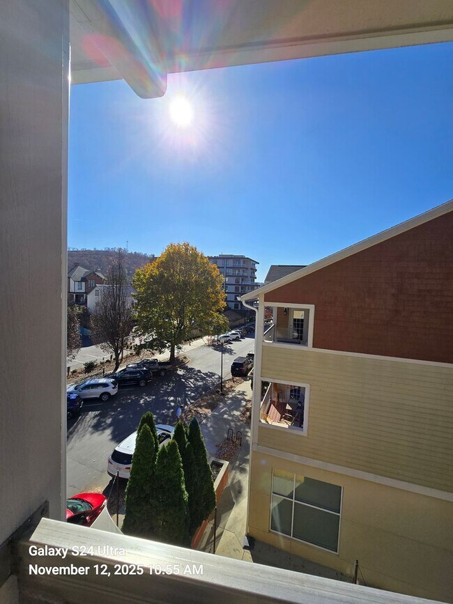 Building Photo - Luxurious Furnished Downtown Condo - 6-18 Month Lease Available!