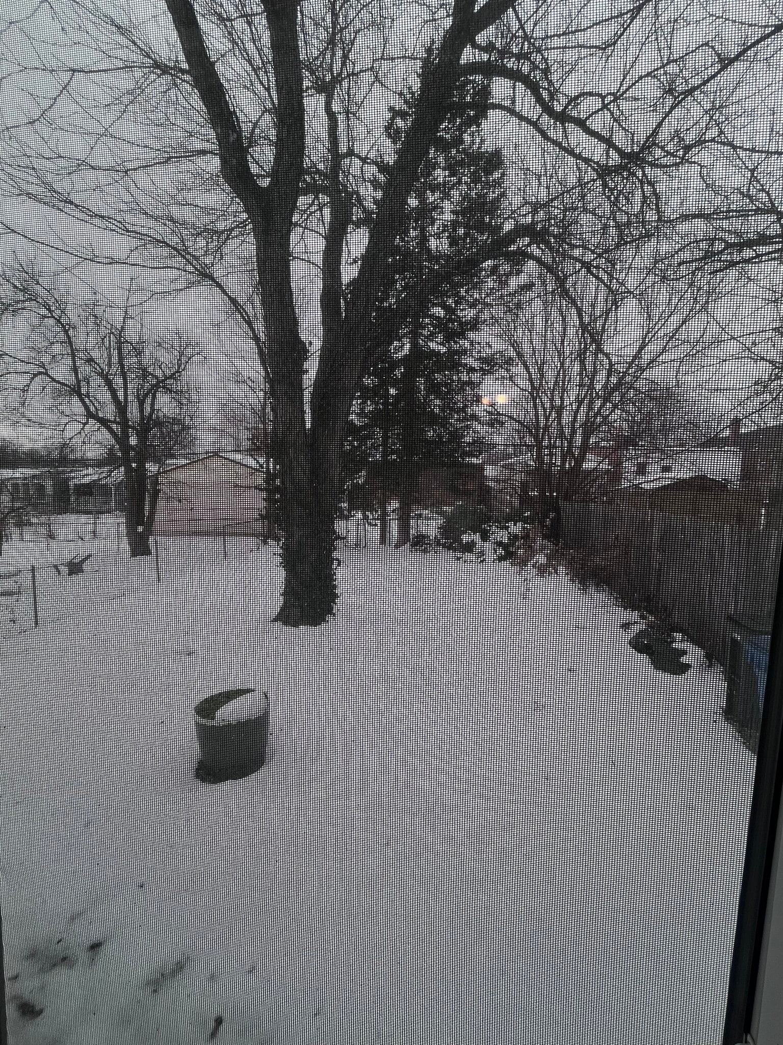 Building Photo - 4936 Hummelsheim Ave