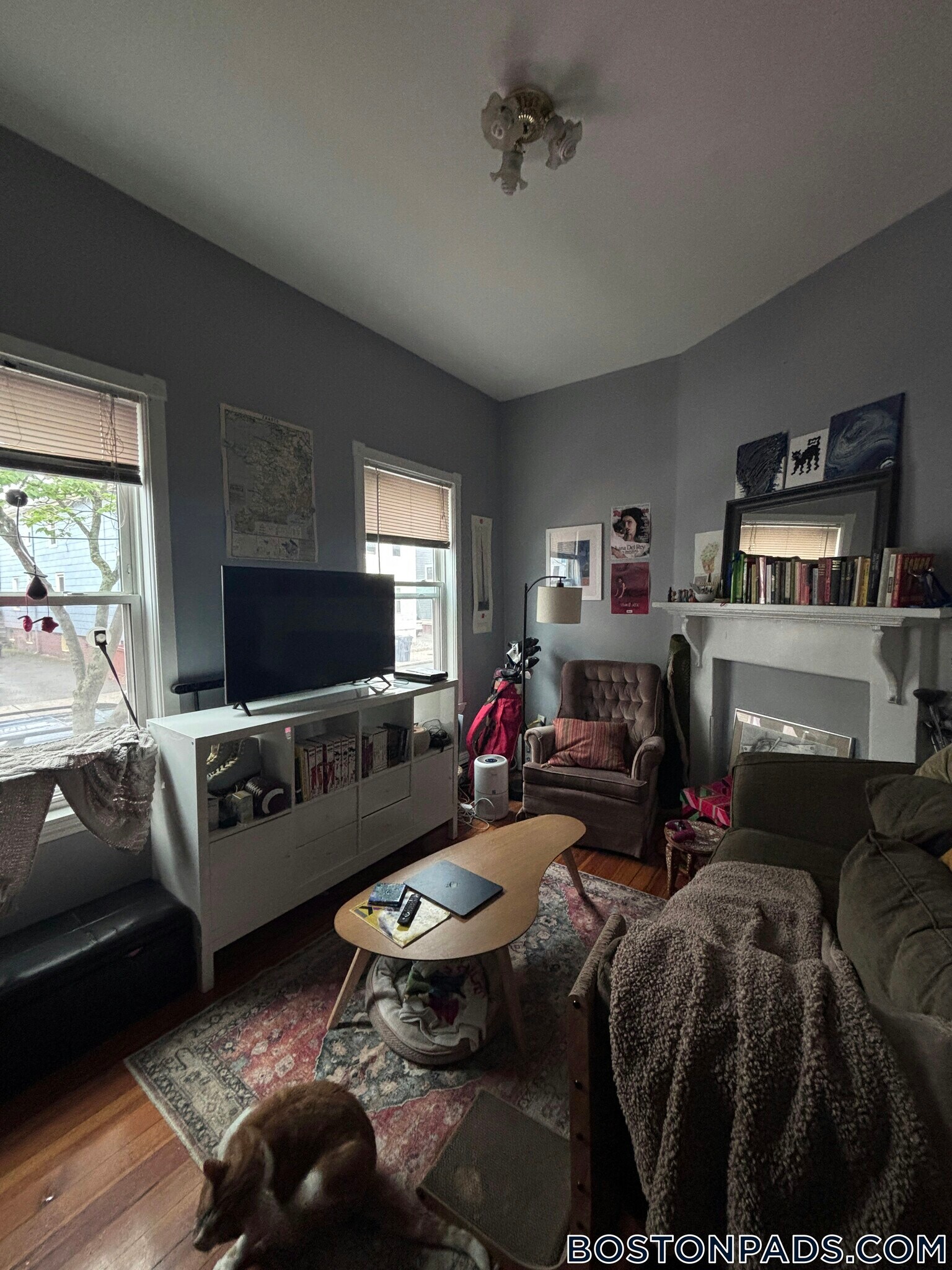 Building Photo - 137 Columbia St