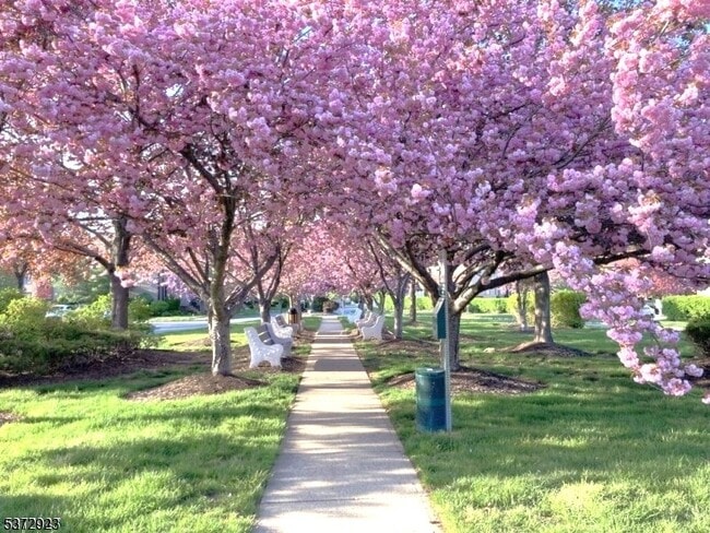 Building Photo - 38 Park St