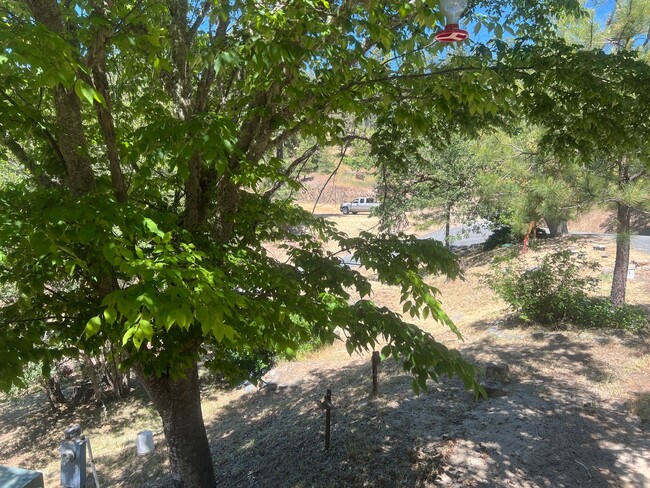 Building Photo - Spectacualr Views of Red Butte Mountains!