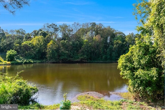 Building Photo - 10823 Hampton Mill Terrace