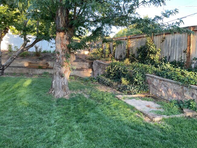 Building Photo - 2193 Penman Ln