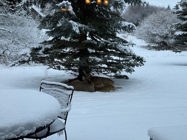 Building Photo - 3300 Graf St