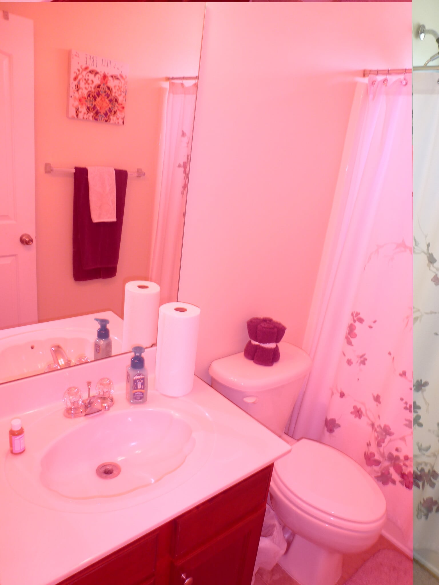 Building Photo - 107 Portland Falls Dr