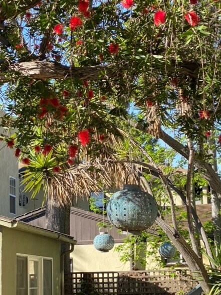 Building Photo - 2932 St George St