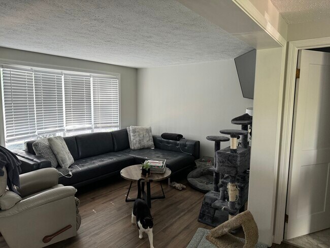 Living room - 35 Genessee St