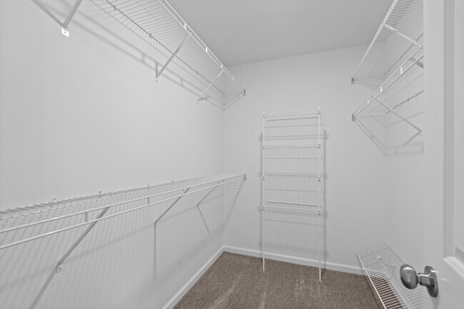 Building Photo - 3009 Brems Dr