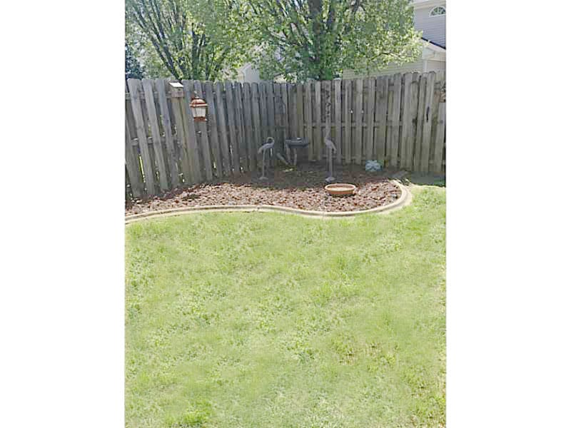 Backyard - 2509 Hartley St