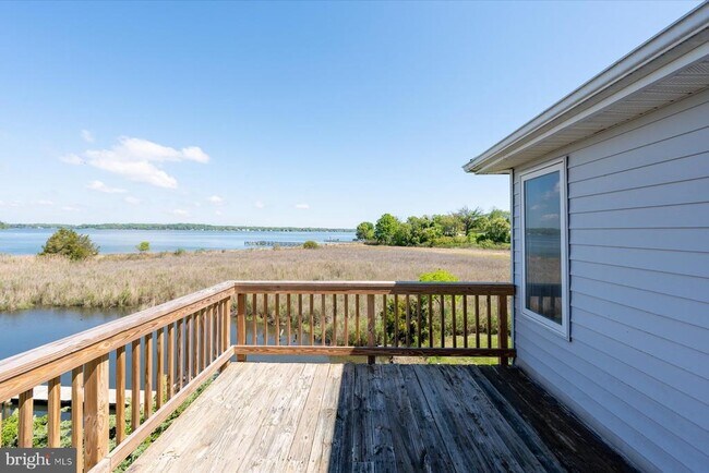 Building Photo - 1100 Paca Dr