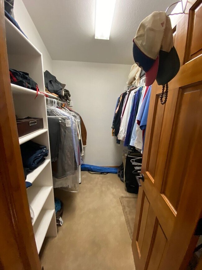 Building Photo - Beautiful Estate in South Fort Collins