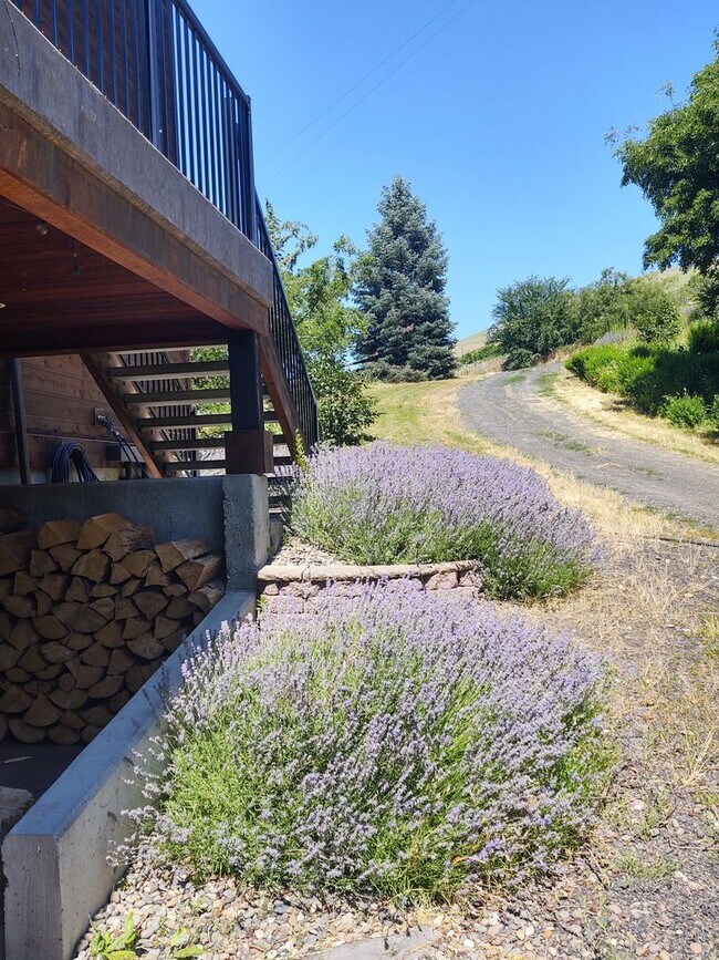 Building Photo - Custom Built Home on the Clearwater River - 20 minutes from Lewiston, ID