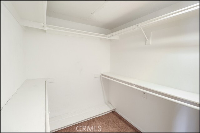 Building Photo - 23412 Pacific Park Dr