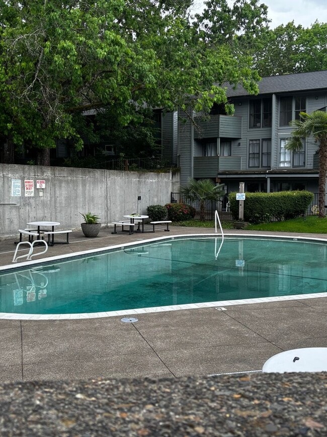 Building Photo - 1 bedroom condo near Washington Square