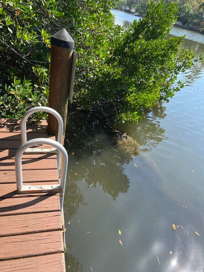 Building Photo - Annual Turnkey Ground floor Furnished Condo in downtown Sarasota