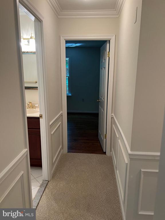 Building Photo - 10101 Alsace Ct