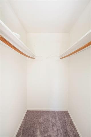 Building Photo - 3503 Loganwood Dr