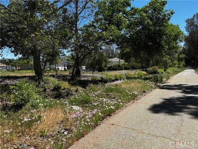 Building Photo - 24563 Calle Perla